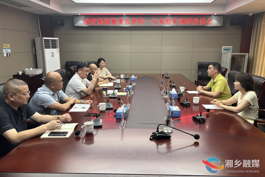 赵新文会见凌度集团董事长胥伟一行