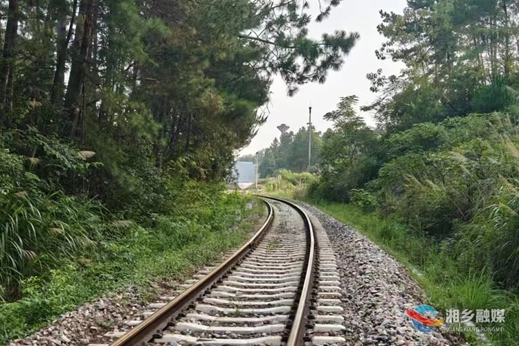 [泉塘镇]清除藤蔓隐患 共筑平安铁路