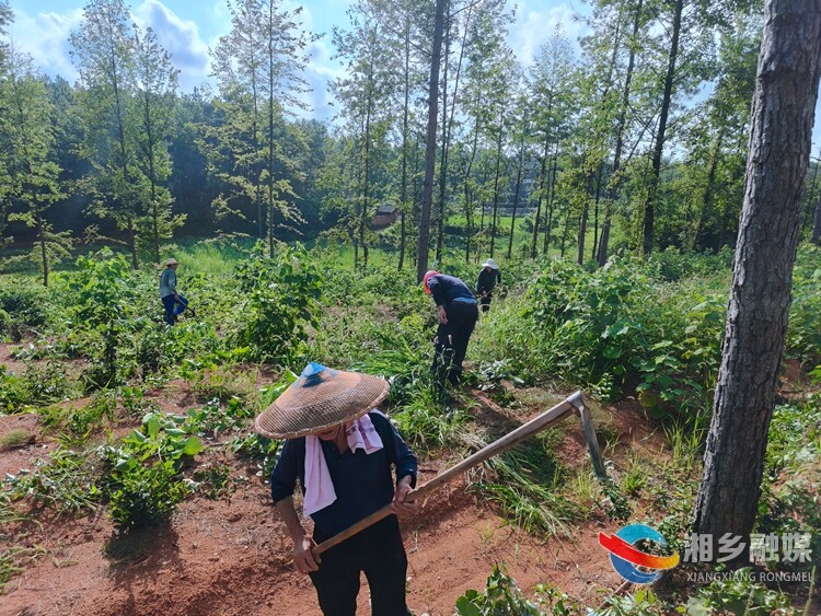 湘乡市花西村：党旗飘扬映热土 服务为民践初心
