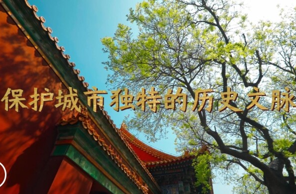 微视频｜保护城市独特的历史文脉