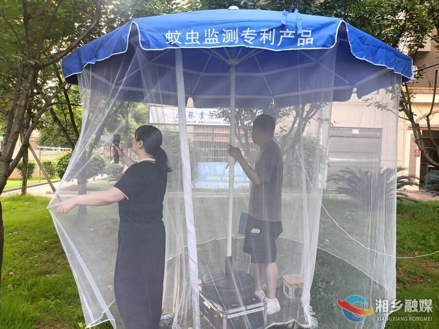市疾控中心：打好基孔肯雅热防控“主动仗”
