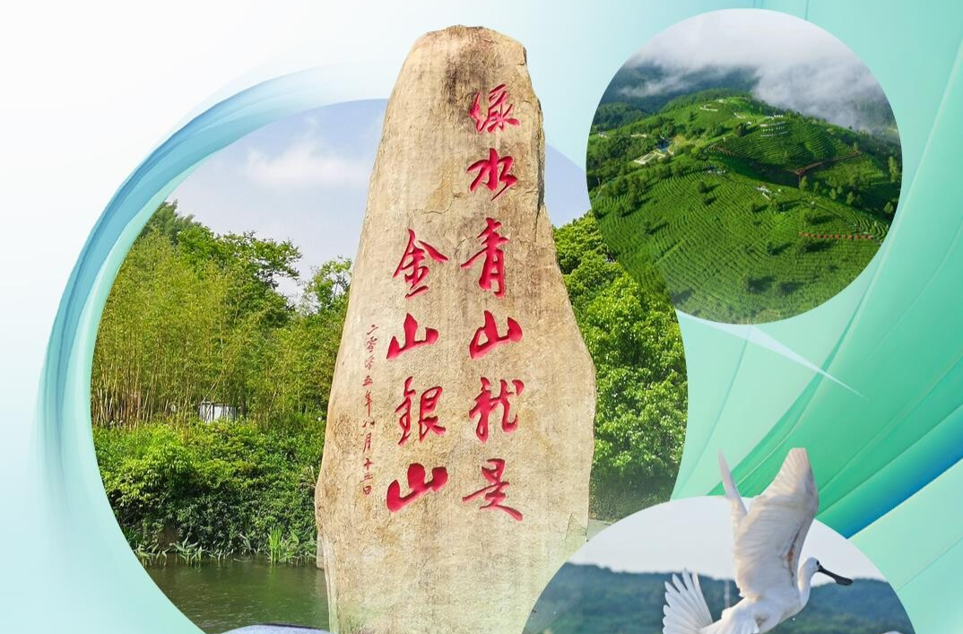 近观“两山”丨理念一变天地宽