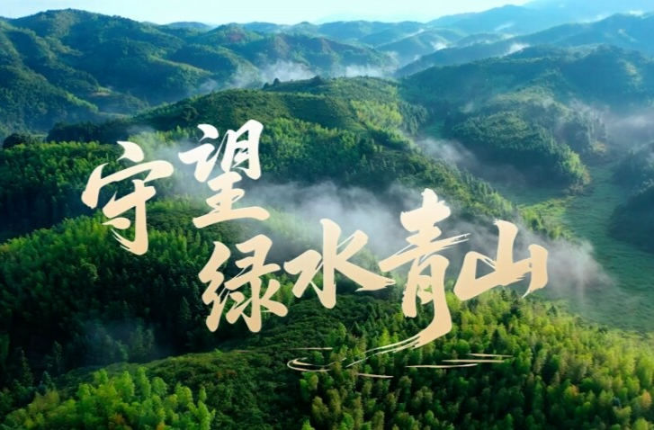 微视频｜守望绿水青山