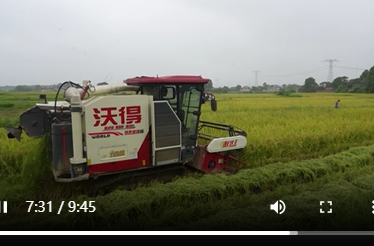 8月18日湘乡新闻