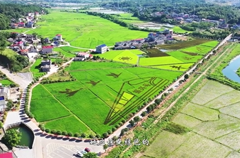 泉湖的“三色”发展经