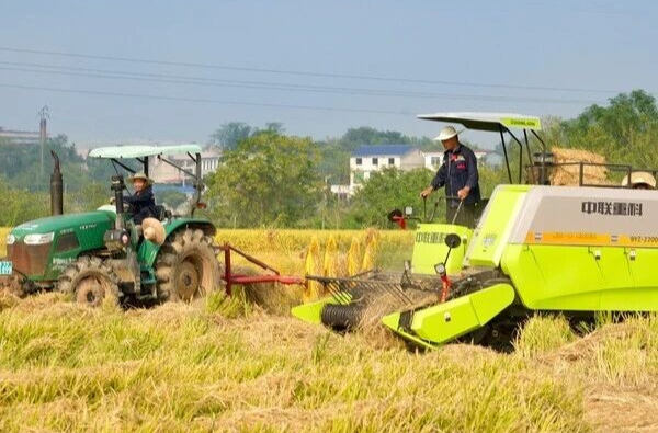 秸秆如何“变废为宝”？湘乡这个镇有妙招