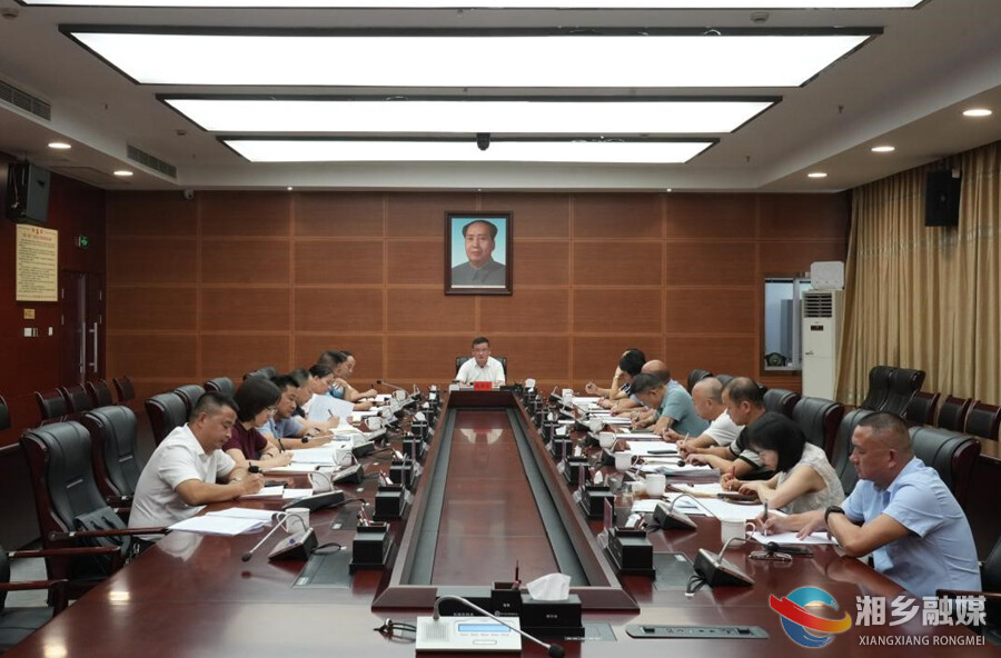 【改革创新年 全力拼经济】赵新文: 加强加力加速推动计生协综合改革项目落地见效