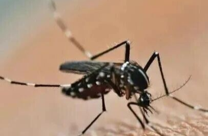 紧急提醒！仍是高发期！出现“三红三痛+高热” 赶快就医