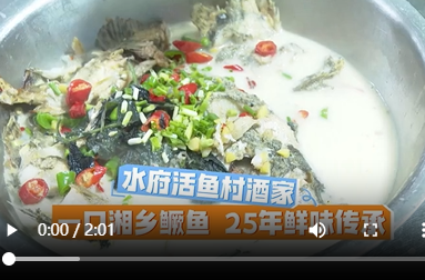 水府活鱼村酒家:一口湘乡鳜鱼  25年鲜味传承