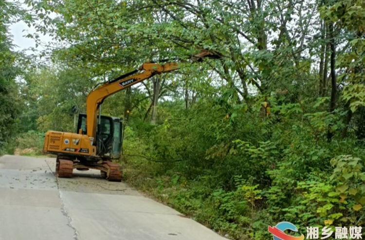 [棋梓镇]桑梓情深系故土 凝心聚力建家园
