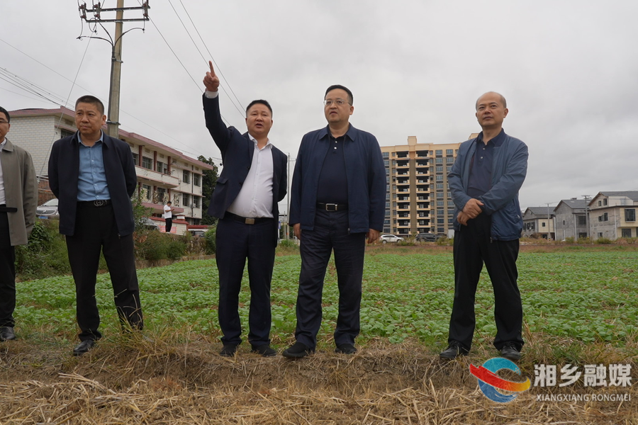 省市县三级人大代表调研秸秆还田工作 郭勇参加