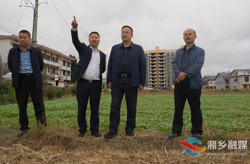 省市县三级人大代表调研秸秆还田工作 郭勇参加