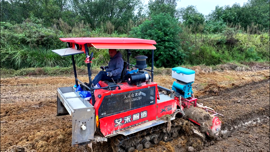 “闲田”焕新绿！月山镇“稻油轮作”绘就“好丰景”