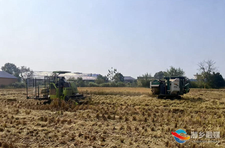 湘乡：秸秆回收再利用 农户秋收再添“薪”