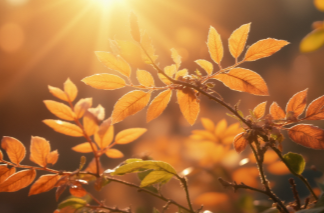 雨歇晴归，暖意渐浓！湘乡的好天气短暂 “上线”