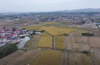 11月19日湘乡新闻