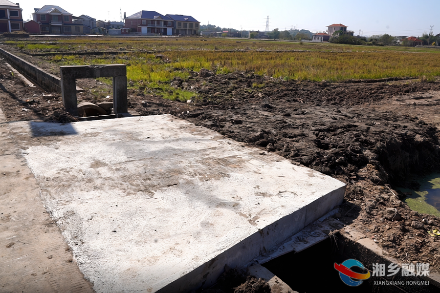 【“湘”村振兴】种粮大户来“当家” “投贷联动”建良田