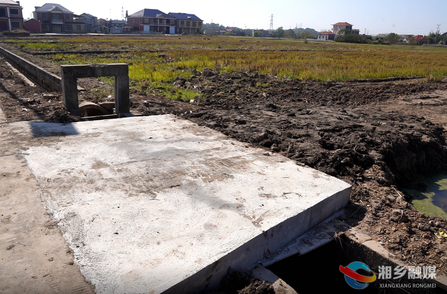 【“湘”村振兴】种粮大户来“当家” “投贷联动”建良田