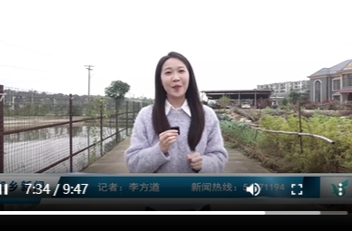 11月26日湘乡新闻