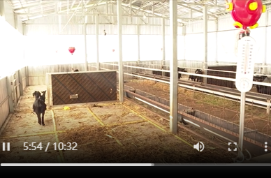 12月01日湘乡新闻