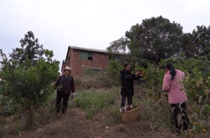 12月12日湘乡新闻