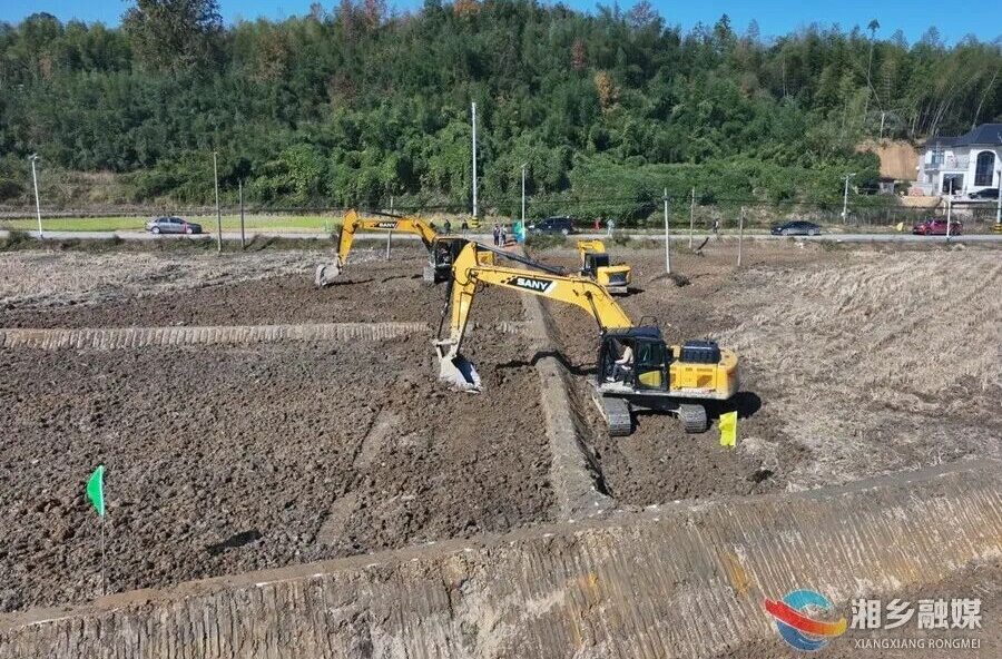 “良田良机良法”齐发力，湘乡五年筑牢粮食安全“压舱石”