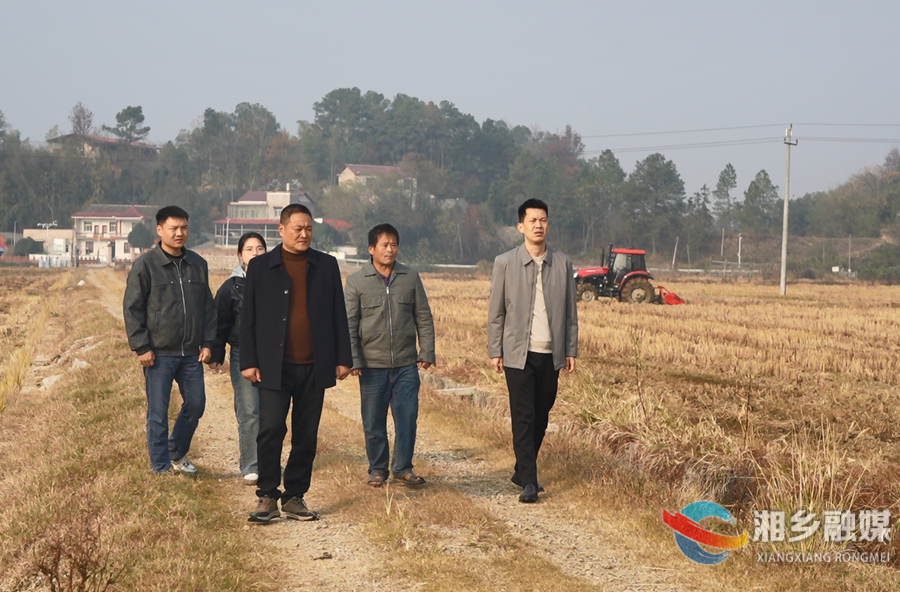 【政协风采】政协泉塘镇委员学习活动小组：“秸”尽所能 协商为民