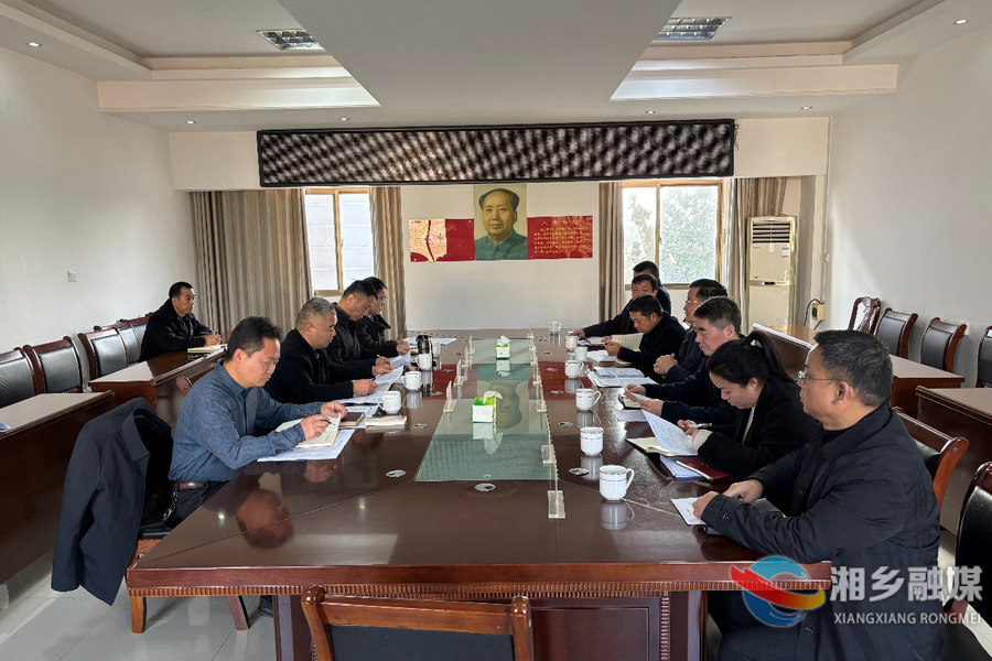 赵新文深入乡镇调研基层党建等工作