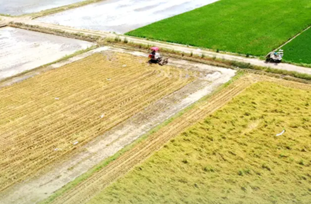 海报 | 非凡“十四五” 湘乡新答卷 良田良机良法 筑牢粮食安全“压舱石”