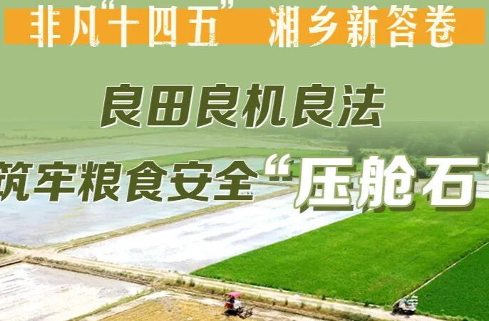 海报 | 非凡“十四五” 湘乡新答卷 良田良机良法 筑牢粮食安全“压舱石”