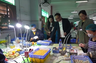 12月17日湘乡新闻