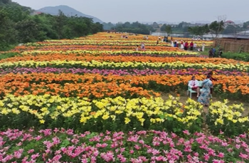 12月24日湘乡新闻
