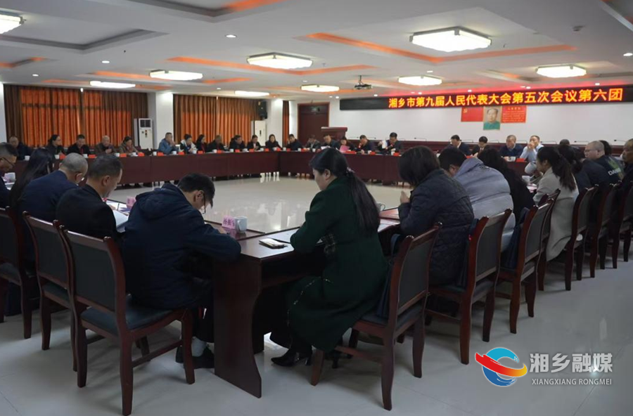 【两会视点】唐宁等市领导参加各代表团分团审议