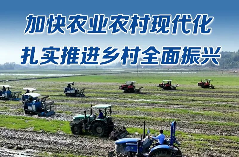 海报 | 阔步“十五五” 湘乡这么干（三）