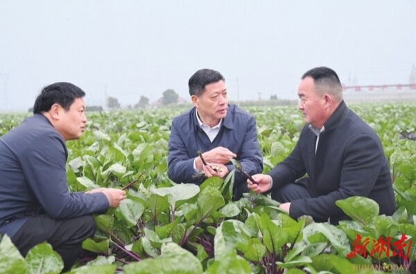 “老百姓支持的事，再难也要干成”——记“全省担当作为优秀干部”