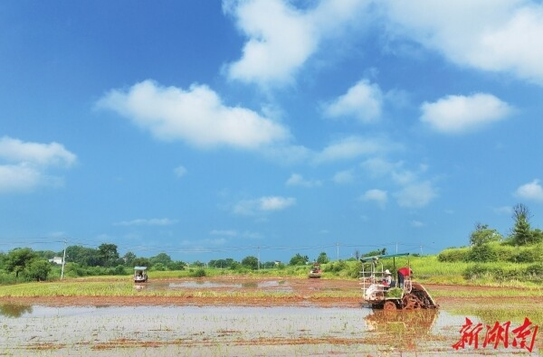请缨攻“低镉”，续写“禾下梦”——记“全省担当作为优秀干部”李莉
