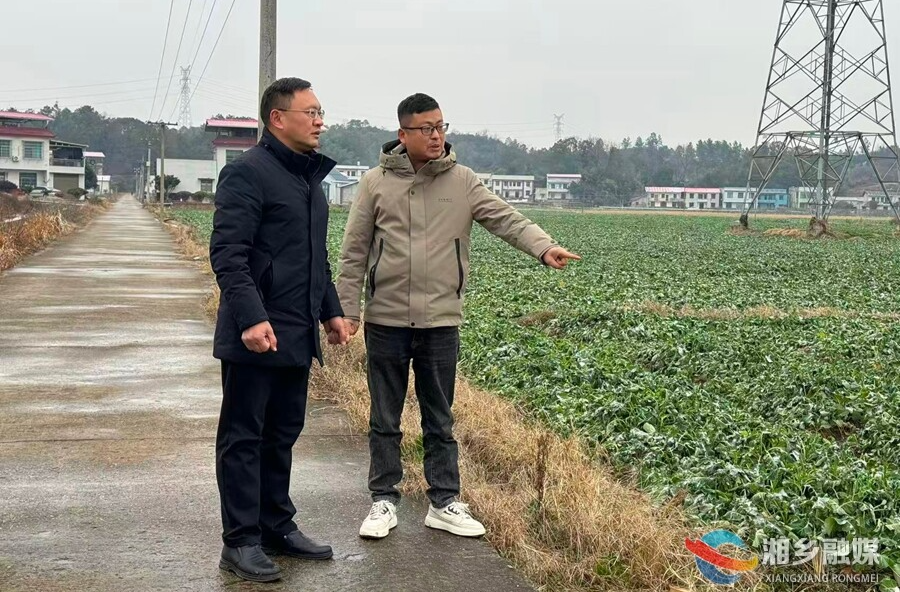 迎战寒潮 | 市农业农村局：农技专家下地头 暖心服务保丰产