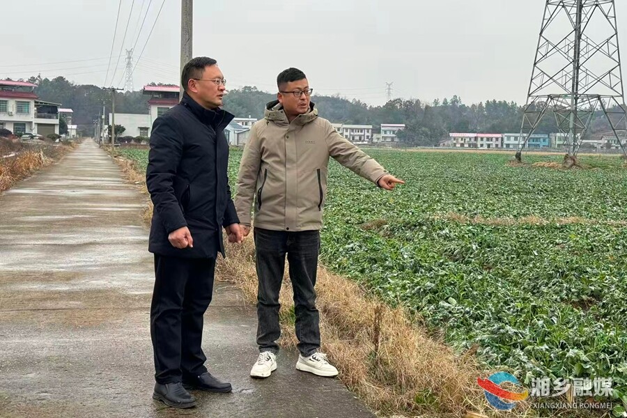 迎战寒潮 | 市农业农村局：农技专家下地头 暖心服务保丰产