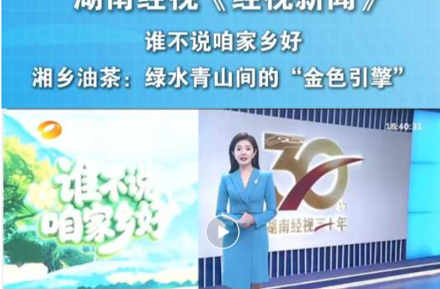 湖南经视带你看湘乡油茶：绿水青山的“金色引擎”
