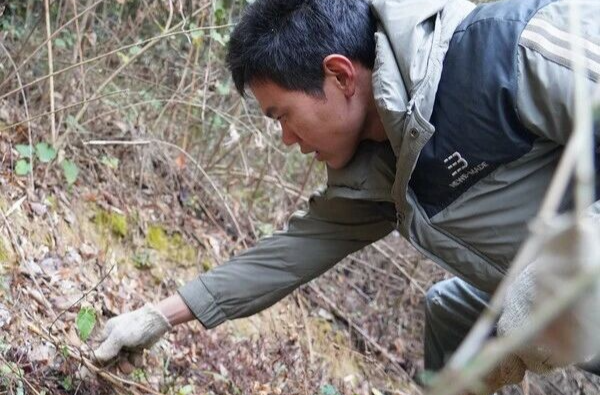 急寻买家！湘乡爸爸炮制黄精筹措自闭症双胞胎康复费