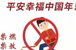 禁燃禁放记心间，平安幸福中国年！