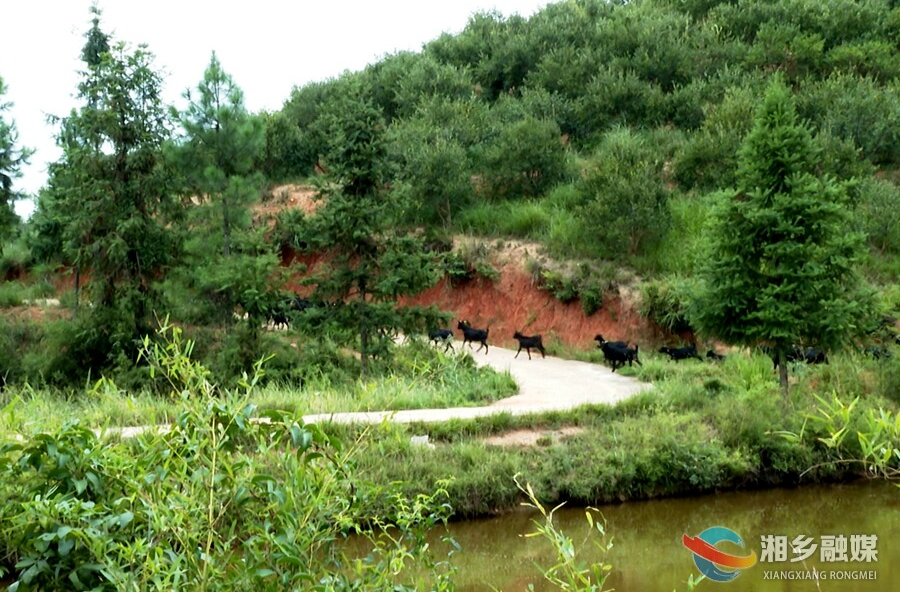 【非凡“十四五”湘乡新答卷】绿水青山生“金银”
