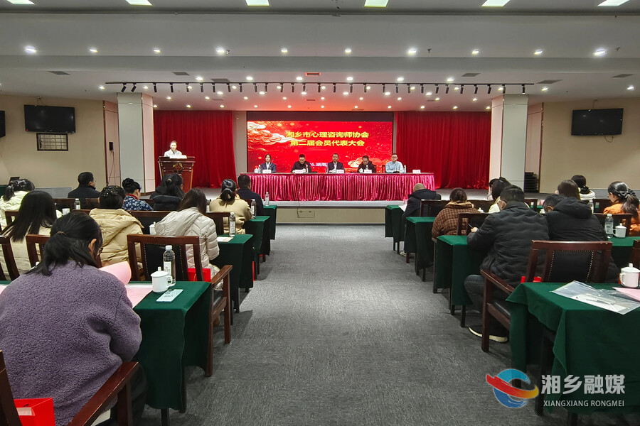 湘乡市心理咨询师协会换届启新程