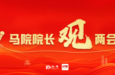 王钢：防止政绩观偏差，关键在“认知”| 马院院长观两会④