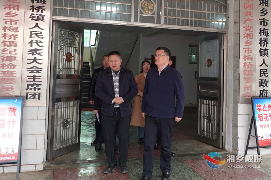 赵新文到梅桥镇督导检查工作