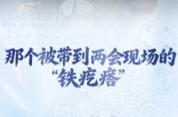 两会经纬线·那个被带到两会现场的“铁疙瘩”