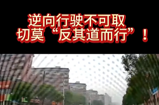 @湘乡人 逆向行驶不可取，切莫反其道而行之