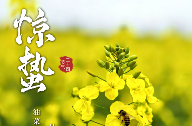今日惊蛰 | 春风有信，花开有期，万物向阳