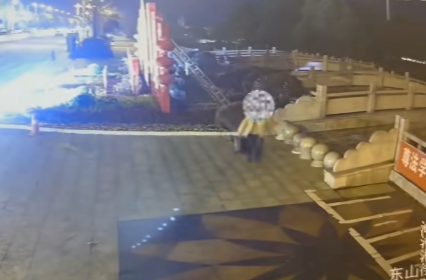 贪小便宜吃大亏！湘乡警方依法拘留两名盗花市民