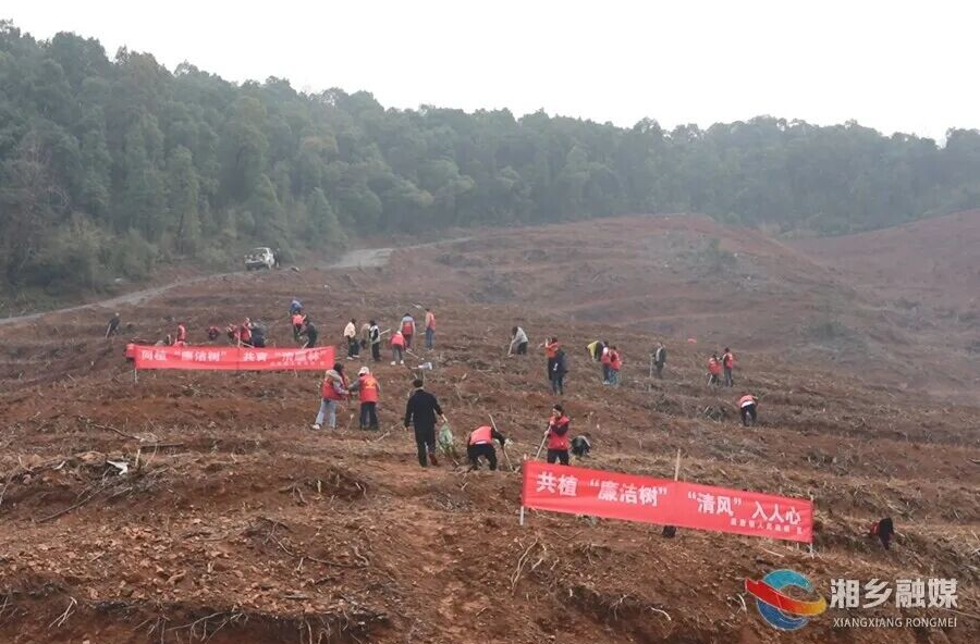 植树于行 植廉于心！湘乡以绿润廉扬清风